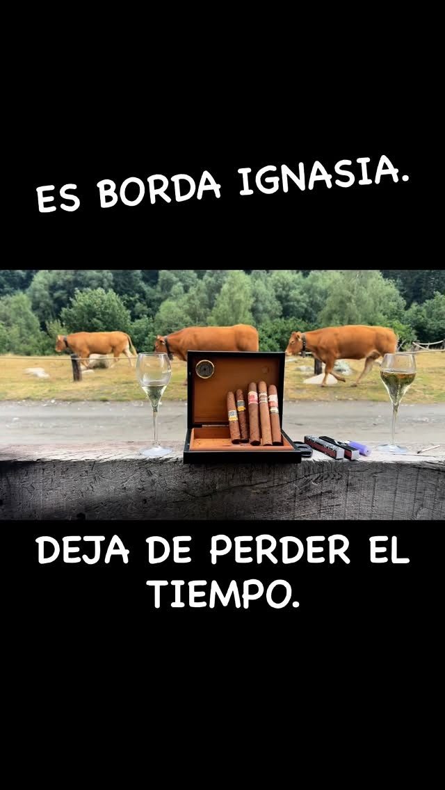 Instagram post from bordaignasia. This post is in position 2.